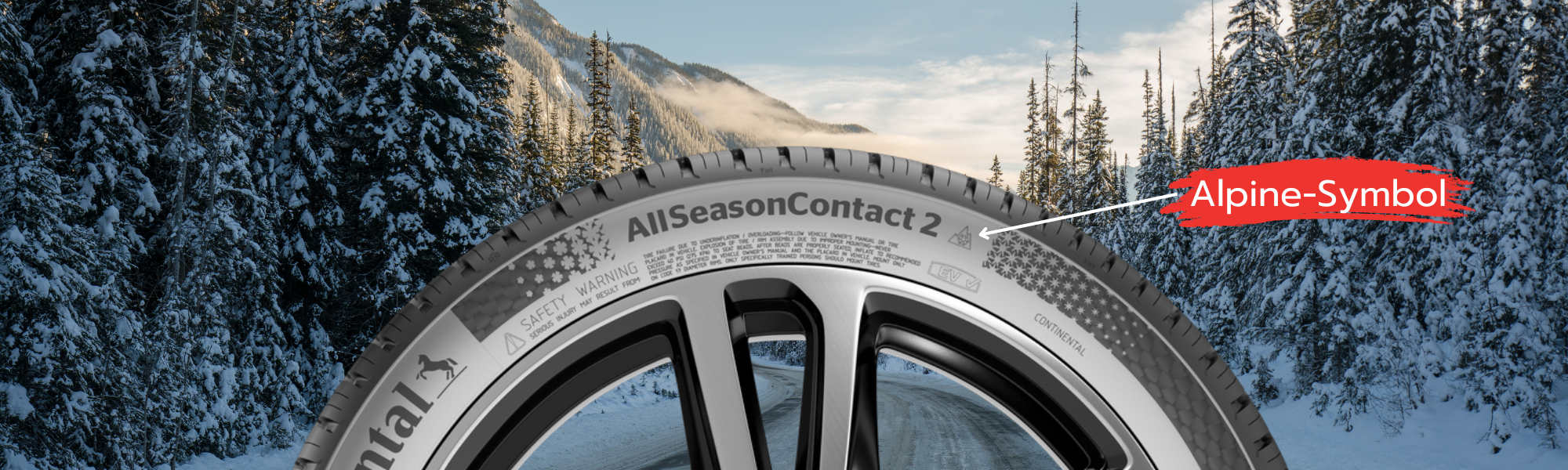 Ganzjahresreifen mit Alpine-Symbol