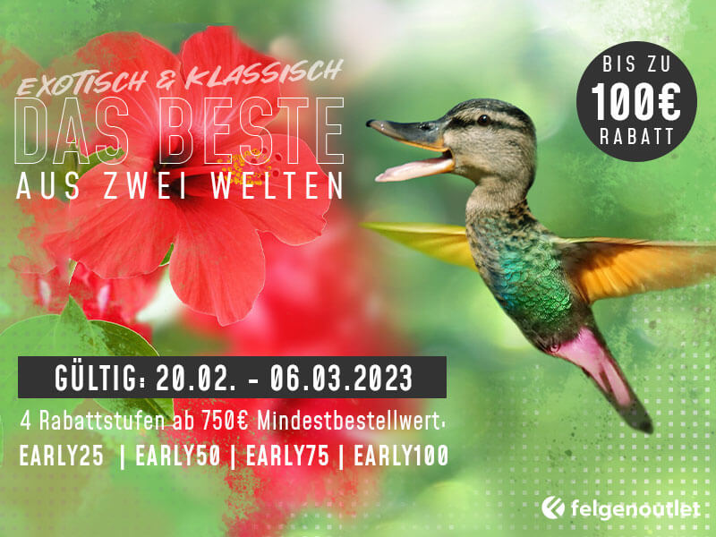 Early Bird Aktion 2023